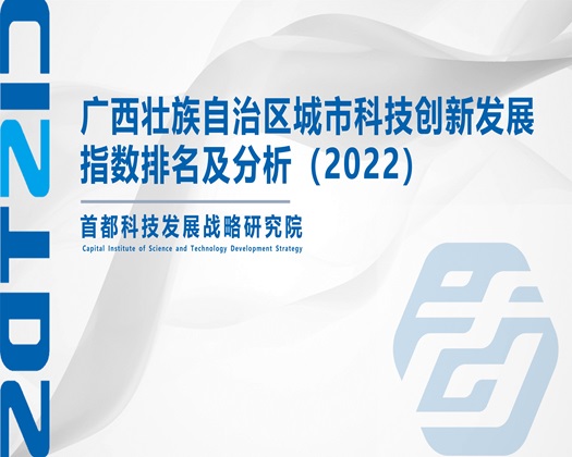 鸡巴操大咪咪免费【成果发布】广西壮族自治区城市科技创新发展指数排名及分析（2022）